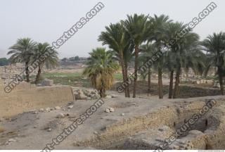 Karnak Temple Photo References #6